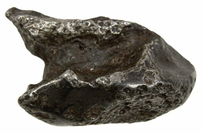 Fusion Crusted Sikhote-Alin Iron Meteorite ( g) - Russia #334612